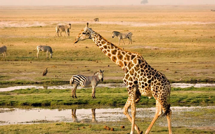 Kenya