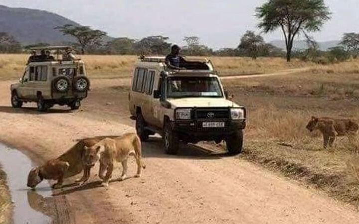 Tanzania